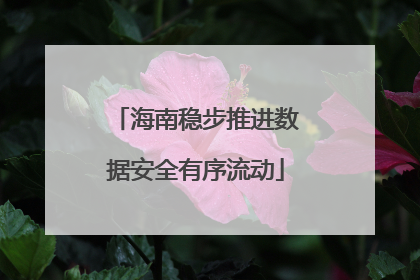 海南稳步推进数据安全有序流动
