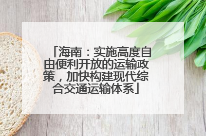 海南：实施高度自由便利开放的运输政策，加快构建现代综合交通运输体系