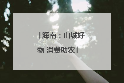 海南：山城好物 消费助农
