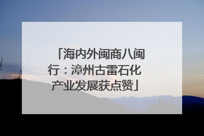 海内外闽商八闽行：漳州古雷石化产业发展获点赞