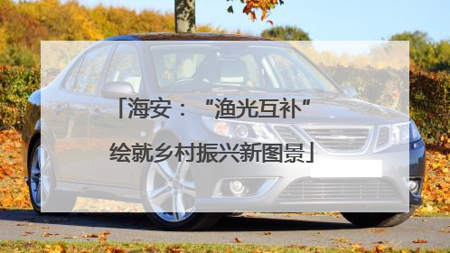 海安：“渔光互补” 绘就乡村振兴新图景