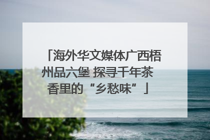 海外华文媒体广西梧州品六堡 探寻千年茶香里的“乡愁味”