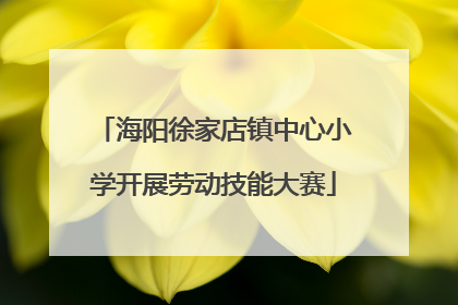 海阳徐家店镇中心小学开展劳动技能大赛