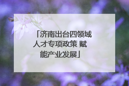 济南出台四领域人才专项政策 赋能产业发展