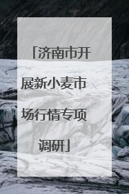 济南市开展新小麦市场行情专项调研