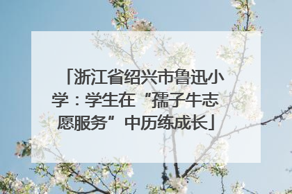 浙江省绍兴市鲁迅小学：学生在“孺子牛志愿服务”中历练成长