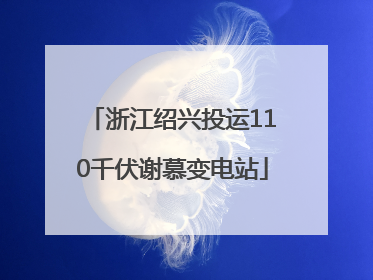 浙江绍兴投运110千伏谢慕变电站