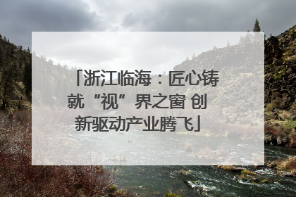浙江临海：匠心铸就“视”界之窗 创新驱动产业腾飞