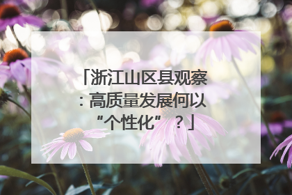 浙江山区县观察：高质量发展何以“个性化”？