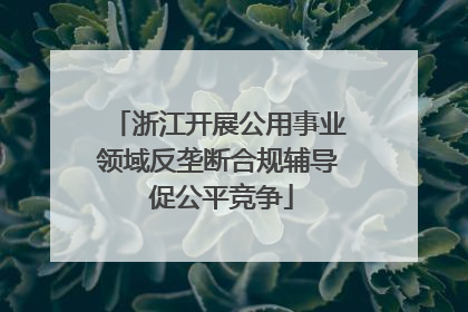 浙江开展公用事业领域反垄断合规辅导 促公平竞争