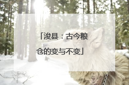 浚县：古今粮仓的变与不变