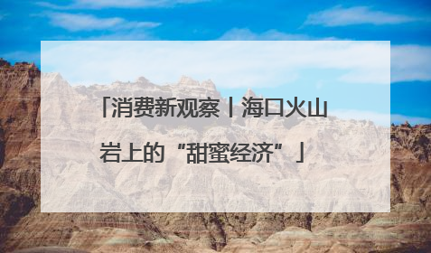 消费新观察丨海口火山岩上的“甜蜜经济”