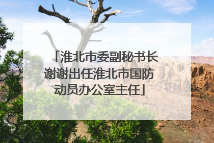 淮北市委副秘书长谢谢出任淮北市国防动员办公室主任