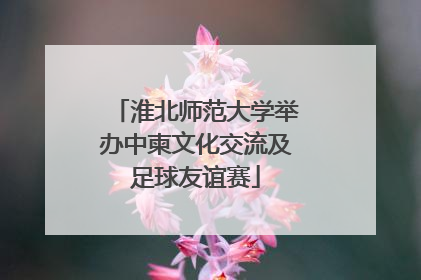 淮北师范大学举办中柬文化交流及足球友谊赛