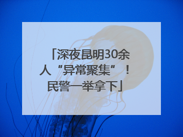 深夜昆明30余人“异常聚集”！民警一举拿下