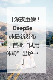 深夜重磅！DeepSeek最新发布，首批“试用体验”出炉→