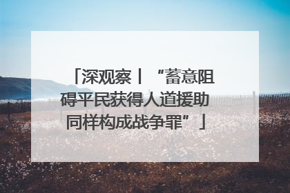 深观察丨“蓄意阻碍平民获得人道援助同样构成战争罪”