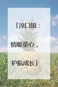 淳口镇：情暖童心，护航成长