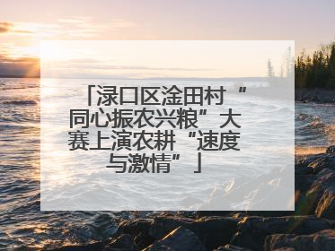 渌口区淦田村“同心振农兴粮”大赛上演农耕“速度与激情”