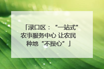 渌口区：“一站式”农事服务中心 让农民种地“不操心”