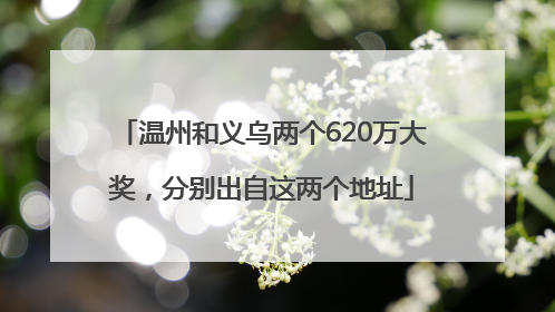 温州和义乌两个620万大奖，分别出自这两个地址