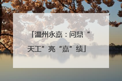 温州永嘉：问鼎“天工”亮“嘉”绩