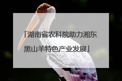湖南省农科院助力湘东黑山羊特色产业发展