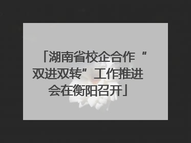 湖南省校企合作“双进双转”工作推进会在衡阳召开