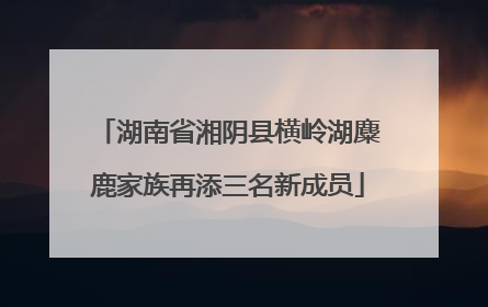 湖南省湘阴县横岭湖麋鹿家族再添三名新成员