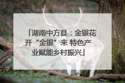 湖南中方县：金银花开“金银”来 特色产业赋能乡村振兴
