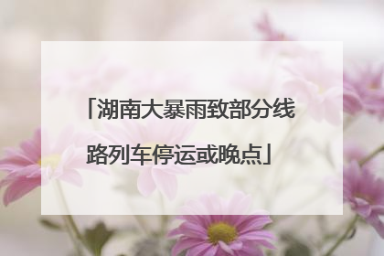 湖南大暴雨致部分线路列车停运或晚点