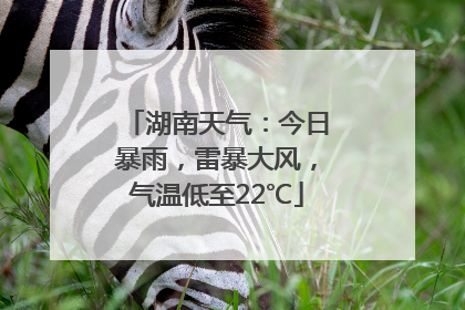 湖南天气：今日暴雨，雷暴大风，气温低至22℃