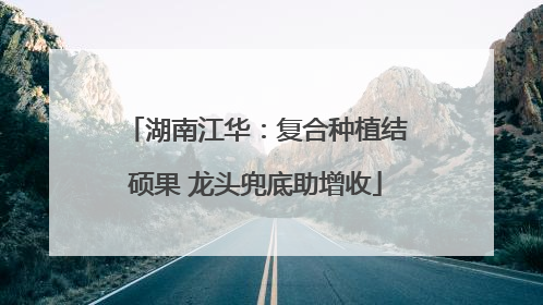 湖南江华：复合种植结硕果 龙头兜底助增收