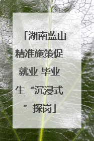 湖南蓝山精准施策促就业 毕业生“沉浸式”探岗
