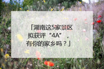 湖南这5家景区拟获评“4A”，有你的家乡吗？