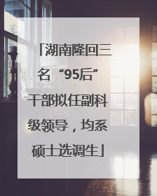 湖南隆回三名“95后”干部拟任副科级领导，均系硕士选调生