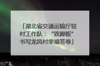 湖北省交通运输厅驻村工作队：“铁脚板”书写龙凤村幸福答卷