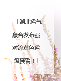 湖北省气象台发布强对流黄色省级预警！