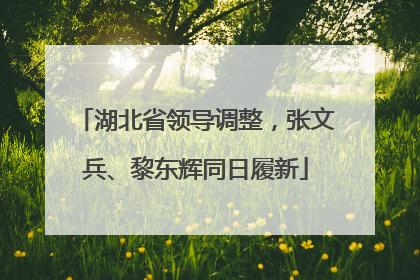 湖北省领导调整，张文兵、黎东辉同日履新