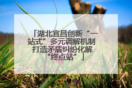 湖北宜昌创新“一站式”多元调解机制 打造矛盾纠纷化解“终点站”