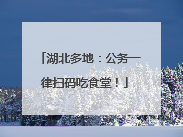 湖北多地：公务一律扫码吃食堂！