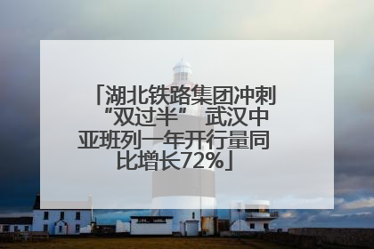 湖北铁路集团冲刺“双过半” 武汉中亚班列一年开行量同比增长72%