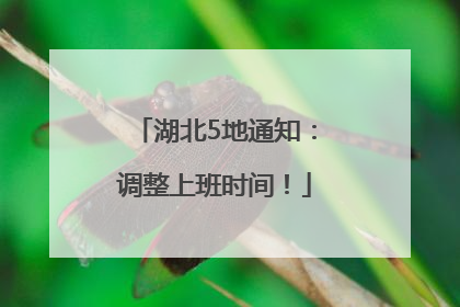 湖北5地通知：调整上班时间！