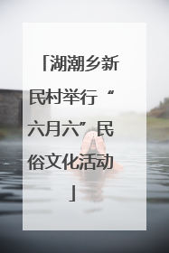 湖潮乡新民村举行“六月六”民俗文化活动