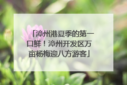 漳州港夏季的第一口鲜！漳州开发区万亩杨梅迎八方游客
