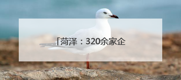 菏泽：320余家企事业单位进校揽才