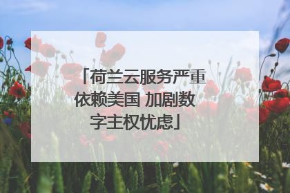 荷兰云服务严重依赖美国 加剧数字主权忧虑