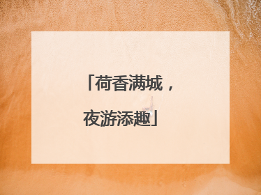 荷香满城，夜游添趣
