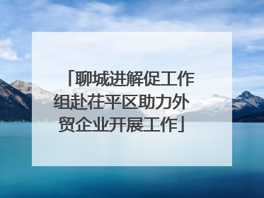聊城进解促工作组赴茌平区助力外贸企业开展工作