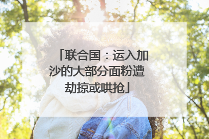 联合国：运入加沙的大部分面粉遭劫掠或哄抢